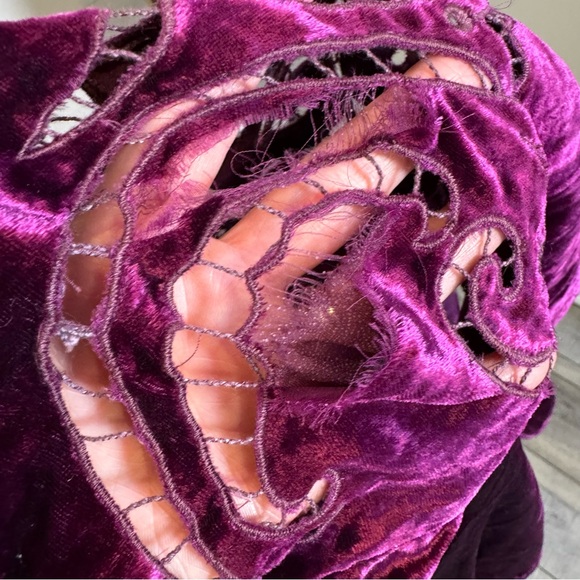 Anthropologie Velvet Cutwork Top V neck Plum XS - NOTE FLAW IN LISTING - Picture 10 of 12